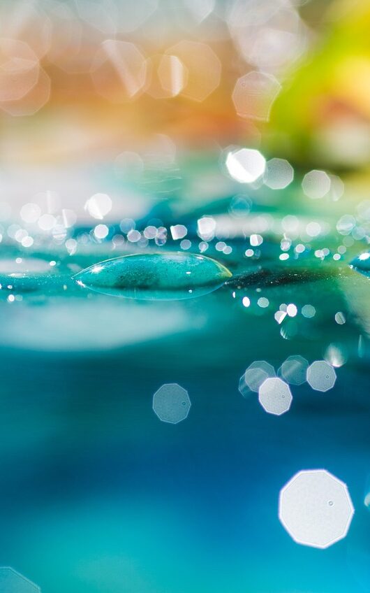 abstract, macro, water-2512412.jpg